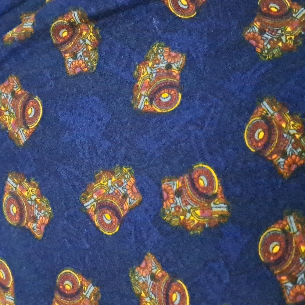 Lularoe T&C Camera print legging